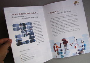 專業(yè)與遠(yuǎn)見(jiàn)的視覺(jué)呈現(xiàn) 咨詢公司畫(huà)冊(cè)設(shè)計(jì)案例與理念解析
