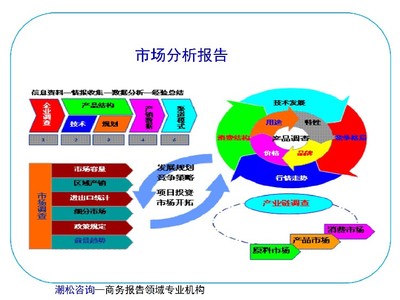 阿里地區社會穩定性風險評估及商業計劃書（投資咨詢框架）